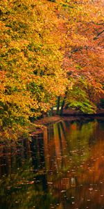 Paisaje,Ríos,Árboles,Otoño,Barcos