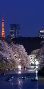 Landscape,Rivers,Trees,Cities