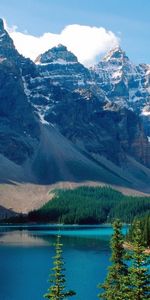 Arbres,Rivières,Montagnes,Paysage