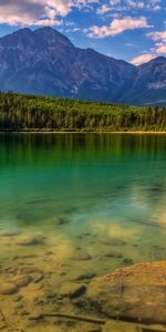 Arbres,Montagnes,Rivières,Paysage