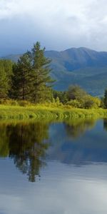 Arbres,Rivières,Montagnes,Paysage