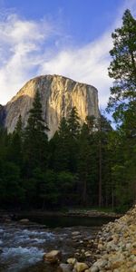 Landscape,Rivers,Trees,Mountains