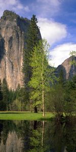 Arbres,Rivières,Montagnes,Paysage