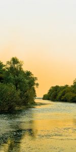 Landscape,Rivers,Trees,Palms