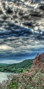 Paisaje,Árboles,Cielo,Ríos,Nubes