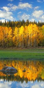 Landscape,Rivers,Trees,Sky,Clouds