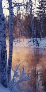 Rivières,Arbres,Neige,Paysage