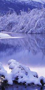 Rivières,Neige,Arbres,Paysage