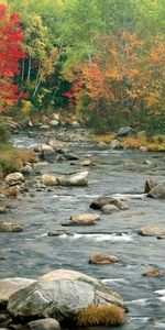 Landscape,Rivers,Trees,Stones