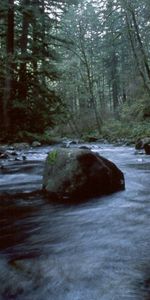 Landscape,Rivers,Trees,Stones