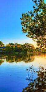 Landscape,Rivers,Trees,Sunset