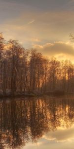 Rivières,Arbres,Coucher De Soleil,Paysage