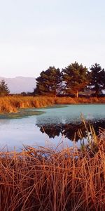 Landscape,Rivers,Trees,Sunset