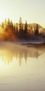 Arbres,Coucher De Soleil,Rivières,Paysage