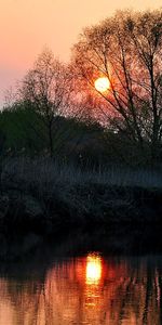 Landscape,Rivers,Trees,Sunset