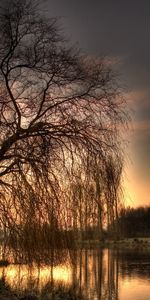 Landscape,Rivers,Trees,Sunset,Art Photo