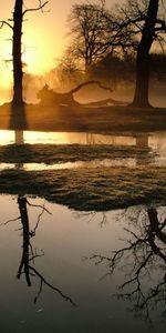 Arbres,Nature,Rivières,Coucher De Soleil,Paysage