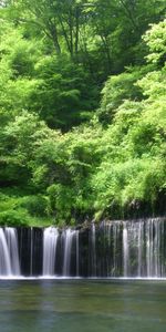 Paisaje,Ríos,Árboles,Cascadas