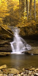 Paisaje,Ríos,Árboles,Otoño,Cascadas