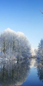 Arbres,Rivières,Hiver,Paysage