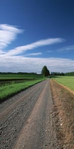 Landscape,Roads