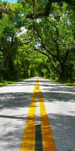 Landscape,Roads