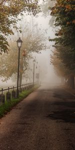 Otoño,Paisaje,Carreteras