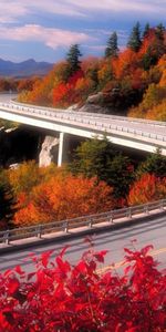 Otoño,Carreteras,Paisaje