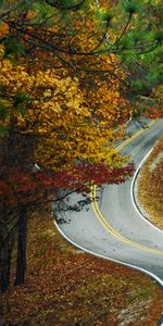 Paysage,Routes,Automne