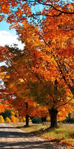 Landscape,Roads,Autumn