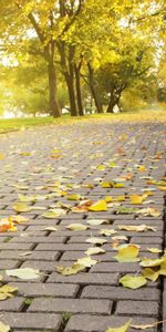 Landscape,Roads,Autumn