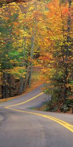 Routes,Paysage,Automne