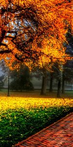 Landscape,Roads,Autumn,Trees