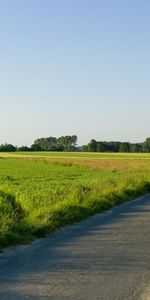 Landscape,Roads,Fields