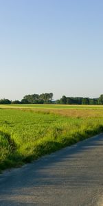 Routes,Les Champs,Paysage