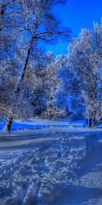 Routes,Neige,Paysage,Plage