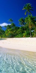 Landscape,Sea,Beach