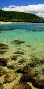 Landscape,Sea,Beach