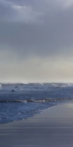 Landscape,Sea,Beach