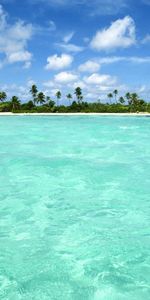 Landscape,Sea,Clouds,Palms