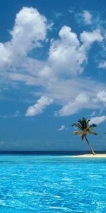 Landscape,Sea,Clouds,Palms,Beach