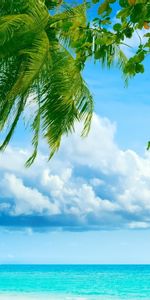 Landscape,Sea,Clouds,Palms,Beach