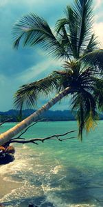 Landscape,Sea,Clouds,Palms,Beach