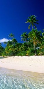 Landscape,Sea,Clouds,Palms,Sand,Beach