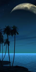 Mer,Nuit,Palms,Paysage