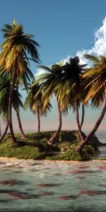 Palms,Mer,Paysage