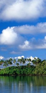 Palms,Mer,Paysage