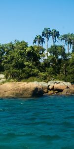 Palms,Paysage,Mer