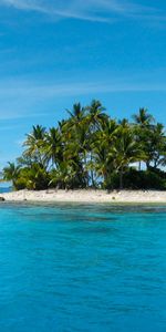 Landscape,Sea,Palms