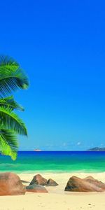 Landscape,Sea,Palms,Beach